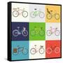 Vector Flat Modern Urban, Town and City Bicycles Set | Various Different Bicycles with Wooden Crate-Mascha Tace-Framed Stretched Canvas