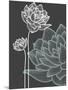 Vector Flowers over Black Background-Danussa-Mounted Art Print