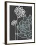 Vector Flowers over Black Background-Danussa-Framed Art Print