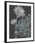 Vector Flowers over Black Background-Danussa-Framed Art Print