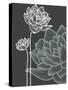 Vector Flowers over Black Background-Danussa-Stretched Canvas