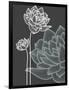 Vector Flowers over Black Background-Danussa-Framed Art Print