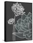 Vector Flowers over Black Background-Danussa-Framed Stretched Canvas