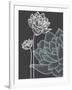 Vector Flowers over Black Background-Danussa-Framed Art Print