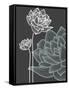 Vector Flowers over Black Background-Danussa-Framed Stretched Canvas