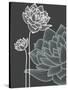 Vector Flowers over Black Background-Danussa-Stretched Canvas