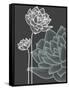 Vector Flowers over Black Background-Danussa-Framed Stretched Canvas