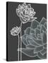 Vector Flowers over Black Background-Danussa-Stretched Canvas