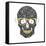 Vector Funny, Candy Skull-karnoff-Framed Stretched Canvas