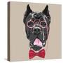 Vector Funny Cartoon Hipster Dog Cane Corso-kavalenkava volha-Stretched Canvas