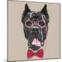 Vector Funny Cartoon Hipster Dog Cane Corso-kavalenkava volha-Mounted Art Print