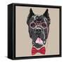 Vector Funny Cartoon Hipster Dog Cane Corso-kavalenkava volha-Framed Stretched Canvas