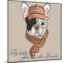 Vector Funny Cartoon Hipster Dog  French Bulldog Breed-kavalenkava volha-Mounted Art Print