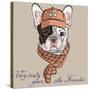 Vector Funny Cartoon Hipster Dog  French Bulldog Breed-kavalenkava volha-Stretched Canvas