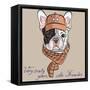 Vector Funny Cartoon Hipster Dog  French Bulldog Breed-kavalenkava volha-Framed Stretched Canvas