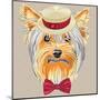 Vector Funny Cartoon Hipster Dog Yorkshire Terrier-kavalenkava volha-Mounted Art Print