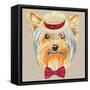 Vector Funny Cartoon Hipster Dog Yorkshire Terrier-kavalenkava volha-Framed Stretched Canvas