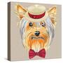 Vector Funny Cartoon Hipster Dog Yorkshire Terrier-kavalenkava volha-Stretched Canvas