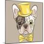 Vector Funny Cartoon Hipster French Bulldog Dog-kavalenkava volha-Mounted Art Print