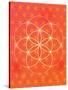 Vector Geometric Background Is. Bright Pattern. Sacred Geometry, Flower of Life.-An Vino-Stretched Canvas