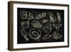 Vector Hand Drawn Meat-bioraven-Framed Art Print