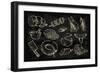 Vector Hand Drawn Meat-bioraven-Framed Premium Giclee Print