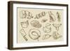 Vector Hand Drawn Meat-bioraven-Framed Art Print