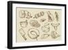 Vector Hand Drawn Meat-bioraven-Framed Premium Giclee Print