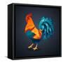 Vector Illustration Bright Rooster on a Black Background. Symbol of 2017 on the Chinese Calendar. I-Fay Francevna-Framed Stretched Canvas