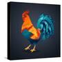 Vector Illustration Bright Rooster on a Black Background. Symbol of 2017 on the Chinese Calendar. I-Fay Francevna-Stretched Canvas