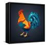 Vector Illustration Bright Rooster on a Black Background. Symbol of 2017 on the Chinese Calendar. I-Fay Francevna-Framed Stretched Canvas