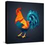 Vector Illustration Bright Rooster on a Black Background. Symbol of 2017 on the Chinese Calendar. I-Fay Francevna-Stretched Canvas