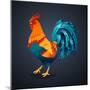 Vector Illustration Bright Rooster on a Black Background. Symbol of 2017 on the Chinese Calendar. I-Fay Francevna-Mounted Art Print