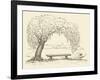 Vector Illustration. Landscape Sketch of the Village Form of the Old Wooden Bench under a Willow Tr-ArtMari-Framed Art Print