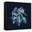 Vector Illustration of Geometric Lion Head on Dark Background.-bbgreg-Framed Stretched Canvas