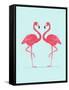 Vector Illustration Pink Flamingo Couple. Exotic Bird. Cool Flamingo Decorative Flat Design Element-Daryna Khozieieva-Framed Stretched Canvas
