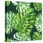 Vector Illustration with Tropical Leaves-Monash-Stretched Canvas