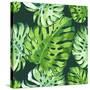 Vector Illustration with Tropical Leaves-Monash-Stretched Canvas