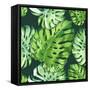 Vector Illustration with Tropical Leaves-Monash-Framed Stretched Canvas