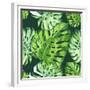 Vector Illustration with Tropical Leaves-Monash-Framed Premium Giclee Print