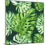 Vector Illustration with Tropical Leaves-Monash-Mounted Premium Giclee Print