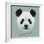 Vector Illustrative Portrait of Panda.Cute Attractive Face Bears.-ant_art-Framed Art Print