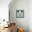 Vector Illustrative Portrait of Panda.Cute Attractive Face Bears.-ant_art-Framed Stretched Canvas displayed on a wall