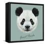 Vector Illustrative Portrait of Panda.Cute Attractive Face Bears.-ant_art-Framed Stretched Canvas