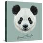 Vector Illustrative Portrait of Panda.Cute Attractive Face Bears.-ant_art-Stretched Canvas