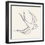 Vector Ink Pen Hand Drawn Flying Swallow Illustration with Vintage Feel | Flying Swallow Tattoo-Mascha Tace-Framed Art Print