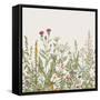 Vector Seamless Floral Border. Herbs and Wild Flowers. Botanical Illustration Engraving Style. Colo-Olga Korneeva-Framed Stretched Canvas
