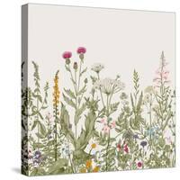 Vector Seamless Floral Border. Herbs and Wild Flowers. Botanical Illustration Engraving Style. Colo-Olga Korneeva-Stretched Canvas