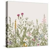 Vector Seamless Floral Border. Herbs and Wild Flowers. Botanical Illustration Engraving Style. Colo-Olga Korneeva-Stretched Canvas