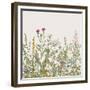 Vector Seamless Floral Border. Herbs and Wild Flowers. Botanical Illustration Engraving Style. Colo-Olga Korneeva-Framed Premium Giclee Print